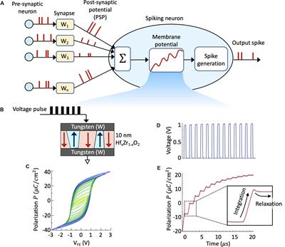 Supervised Learning in All FeFET-Based Spiking Neural Network: Opportunities and Challenges